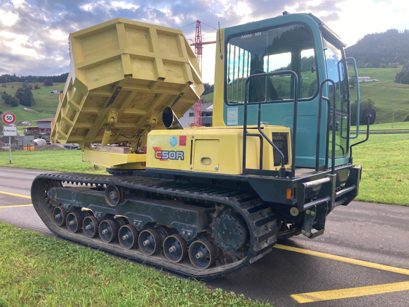 d3c824c7-640f-4d3f-9491-2a77f47baef1-Yanmar Dumper (8).jpg