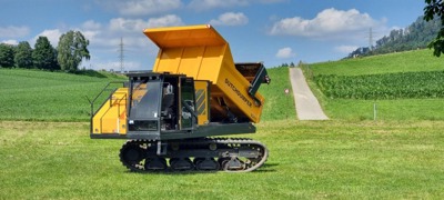 Raupendumper Dutch Dumper